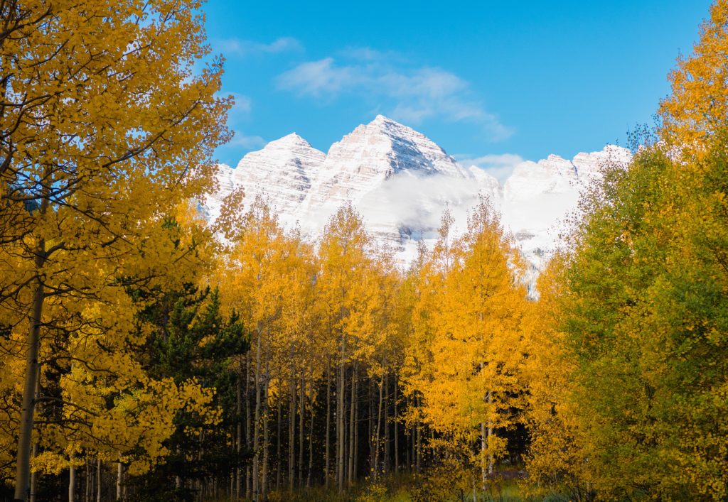 Colorado Landscape