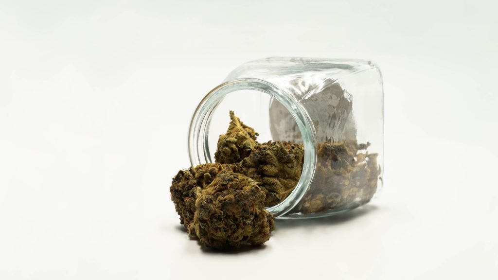 Insider Perspective on the New Jersey Cannabis Market