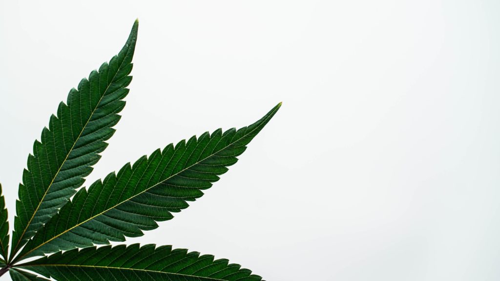 Arizona Cannabis Sales Update