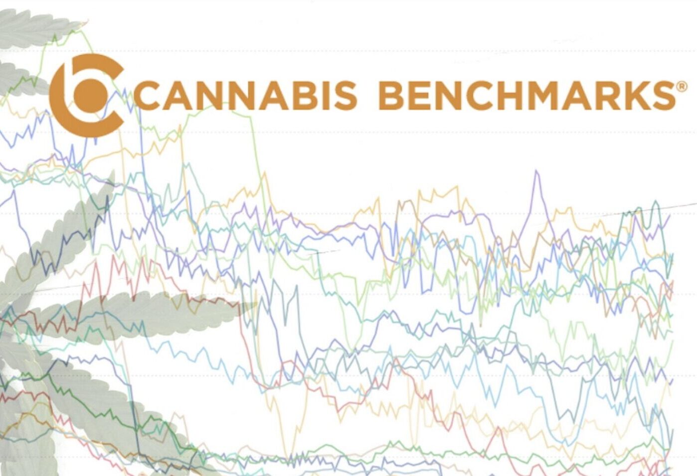 Wholesale Cannabis Price History