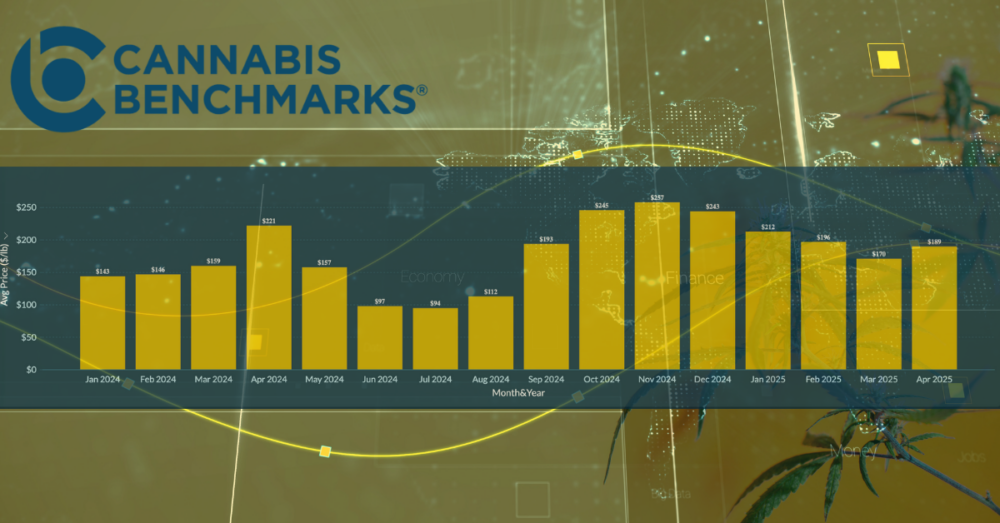 Bar chart displaying monthly wholesale cannabis trim spot price fluctuations, used to demonstrate data-driven market baselines for tax and litigation compliance.